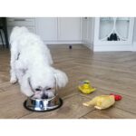 Castron Metalic pentru hranire animale de companie - 22cm - imagine 4