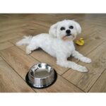 Castron Metalic pentru hranire animale de companie - 22cm - imagine 5