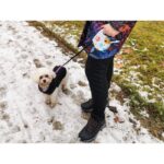 Lesa Retractabila Automata 5m lungime pentru caini de pana la 8kg - imagine 7